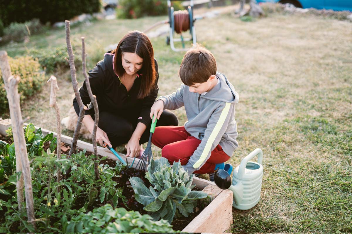 Comment faire un potager pour la première fois ?