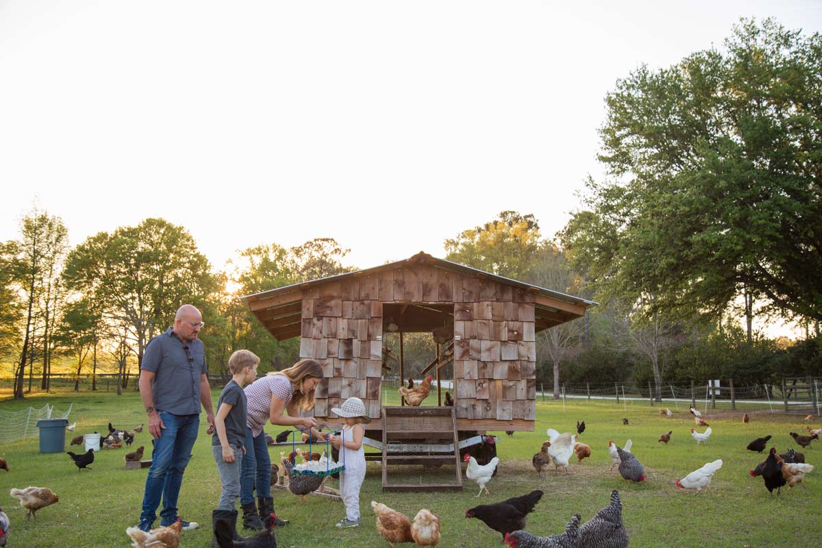 des vacances en famille à la ferme