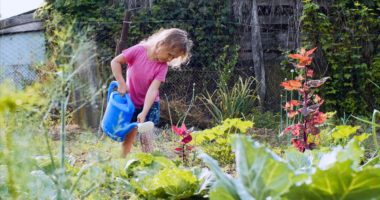 un potager hiver avec les enfants