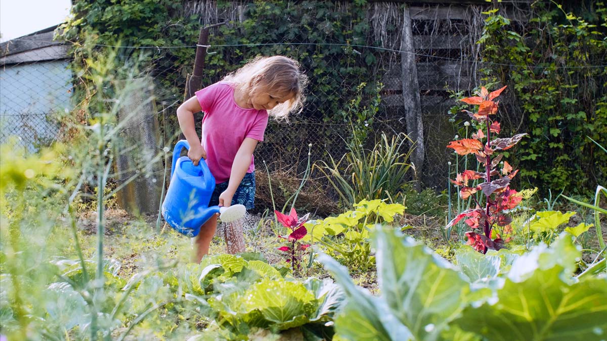 un potager hiver avec les enfants