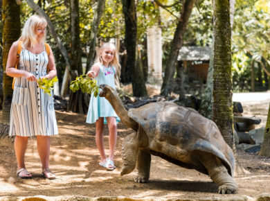 5 astuces pour une sortie inoubliable au zoo en famille