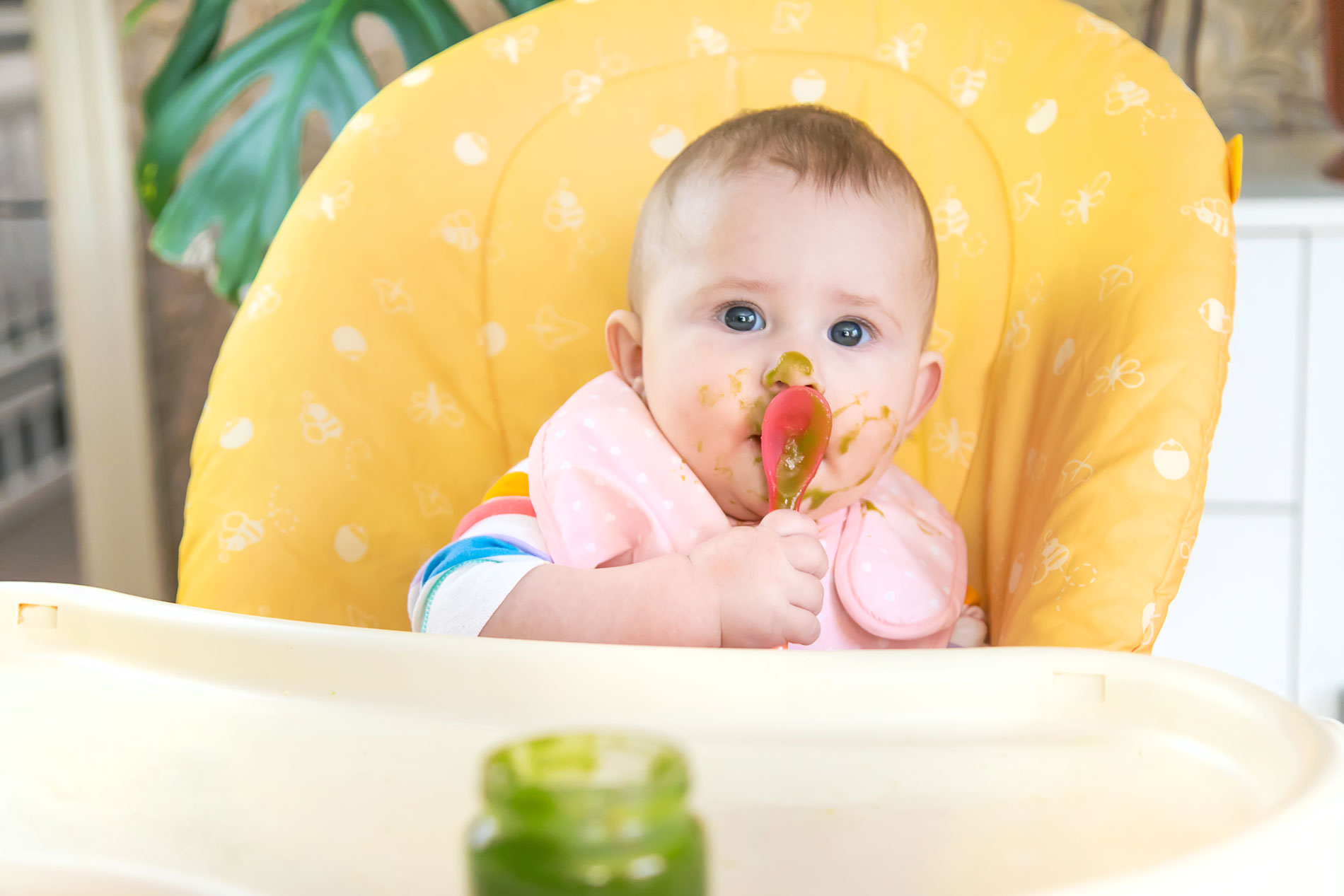 5 recettes parfaites de compotes pour rafraîchir votre bébé