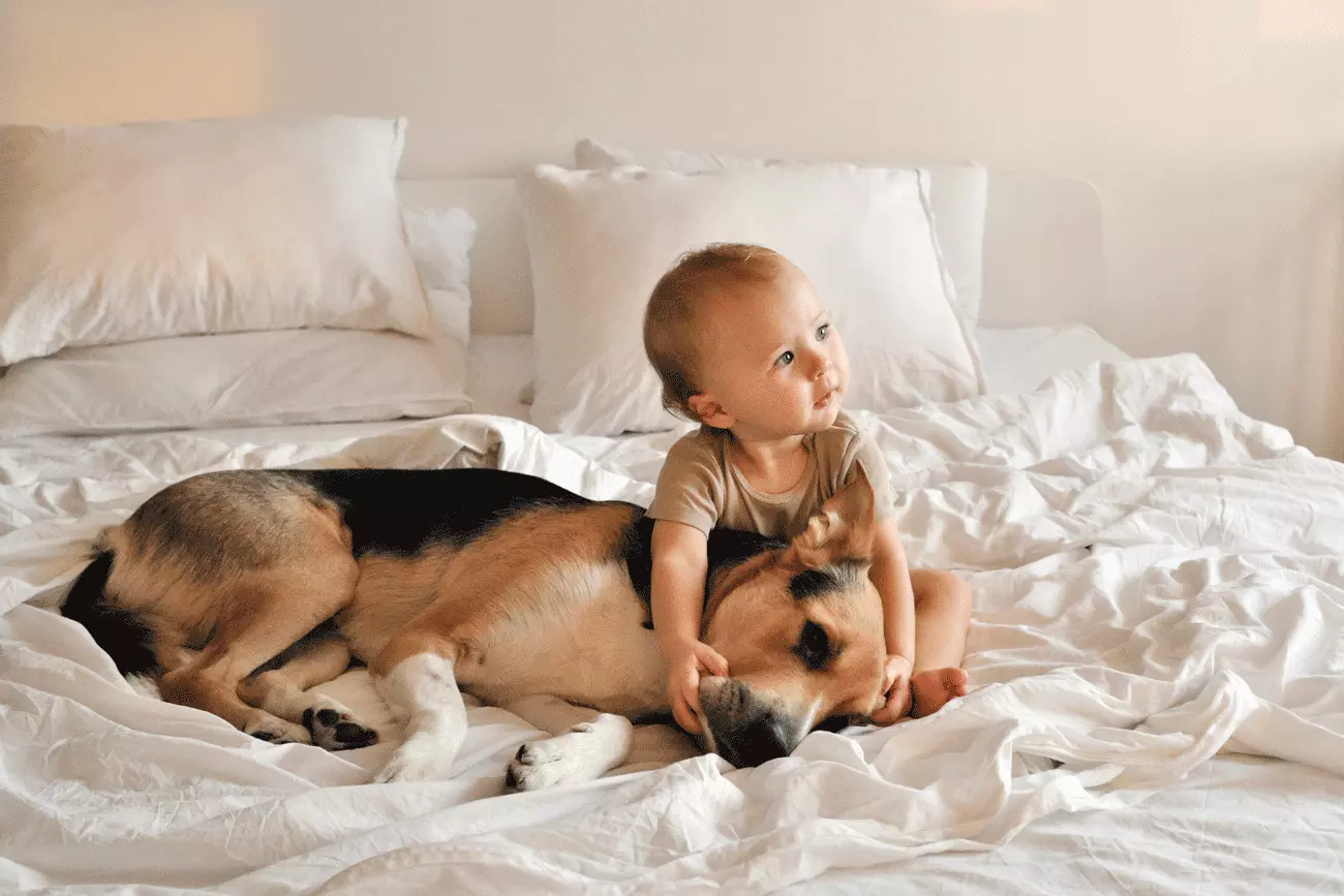 Découvrez la race de chien parfaite pour votre bébé : bonheur à quatre pattes garanti
